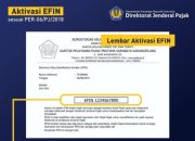 Cara mendapatkan efin online tanpa perlu ke kantor pajak
