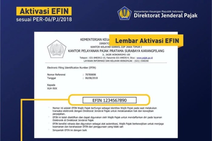 Cara mendapatkan efin online tanpa perlu ke kantor pajak