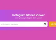 insta story viewer